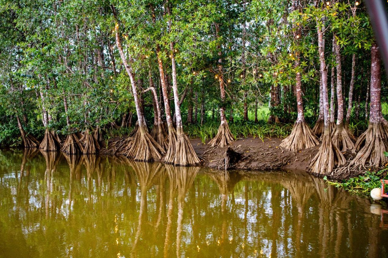 Oso De Osa Hotel Sierpe Luaran gambar