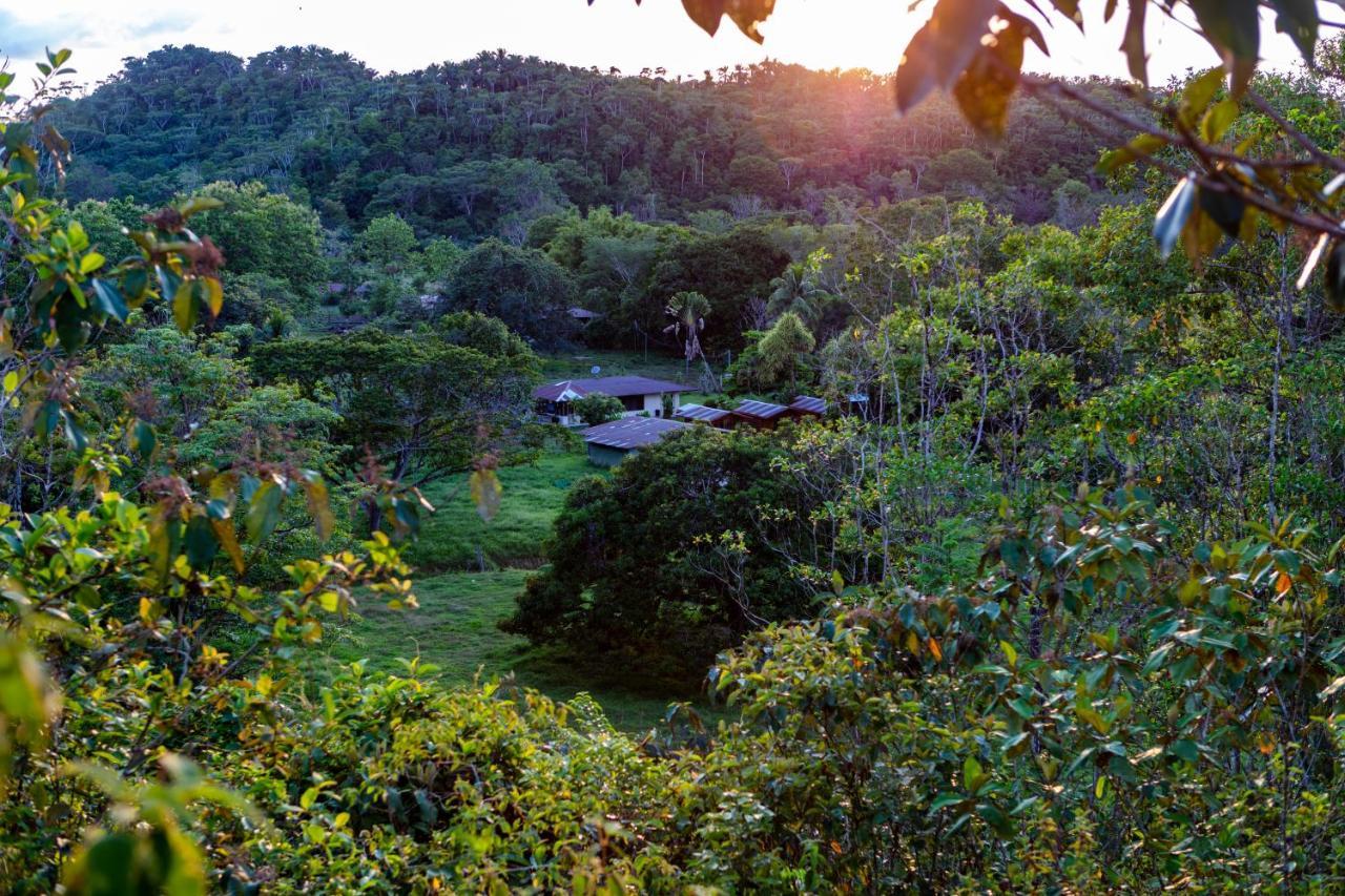 Oso De Osa Hotel Sierpe Luaran gambar