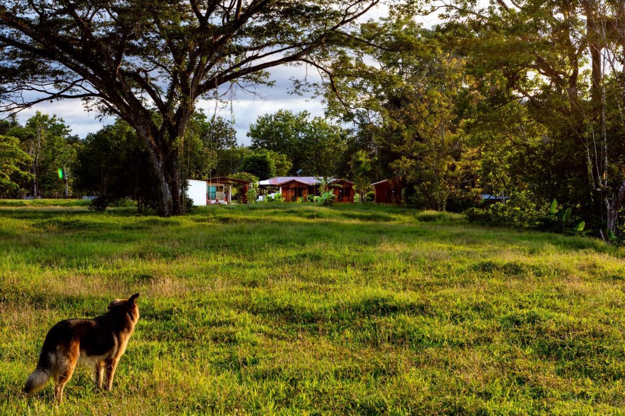 Oso De Osa Hotel Sierpe Luaran gambar