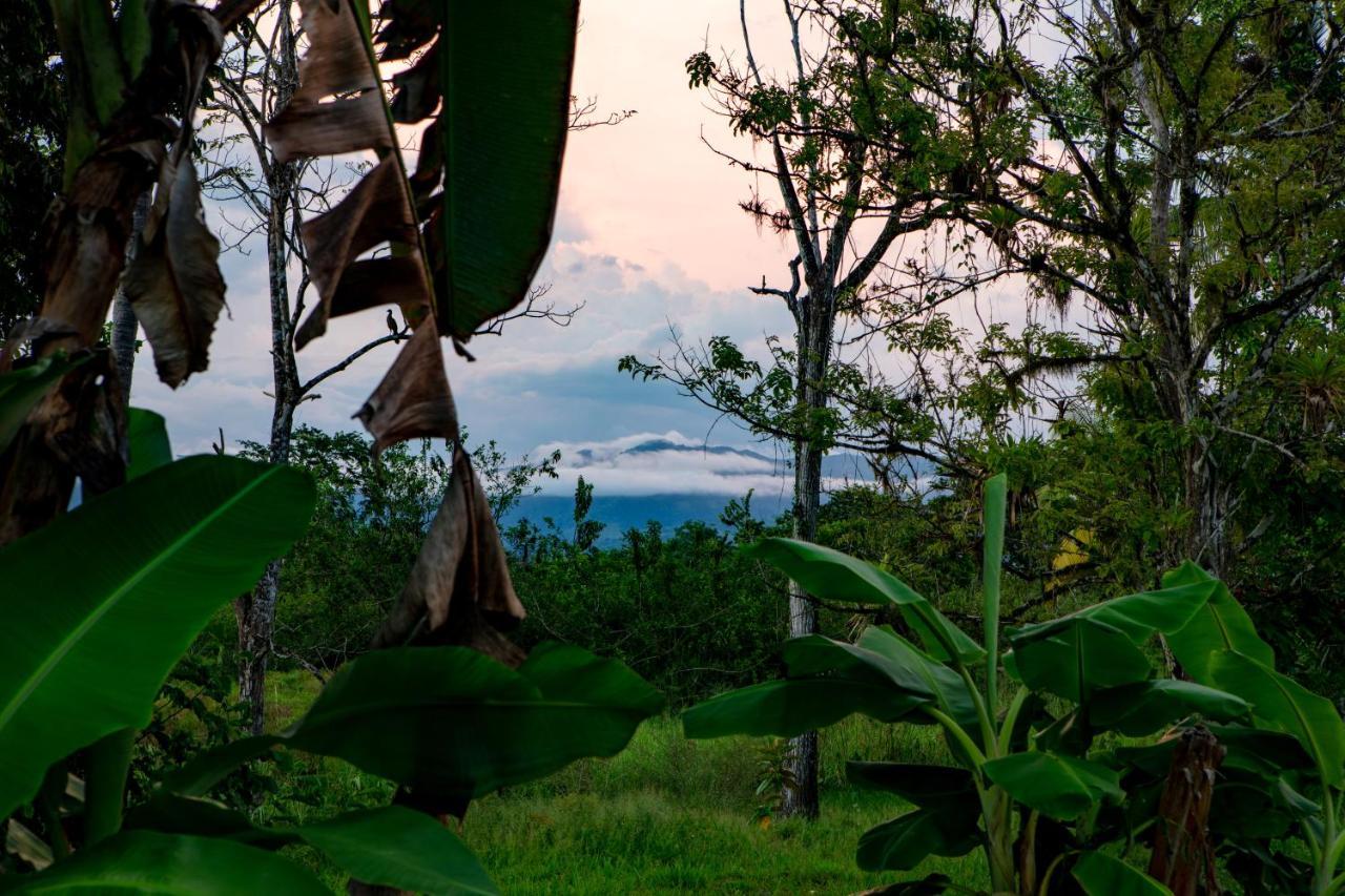 Oso De Osa Hotel Sierpe Luaran gambar