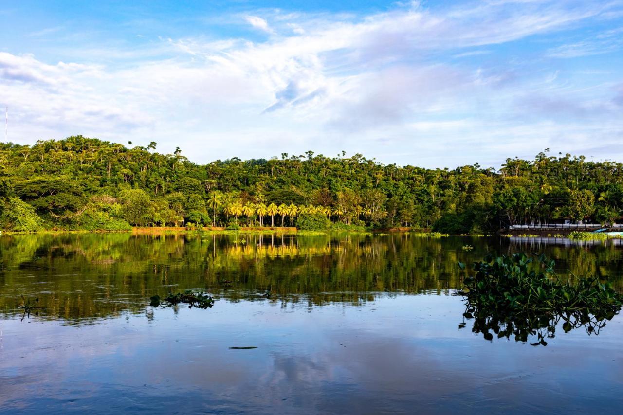 Oso De Osa Hotel Sierpe Luaran gambar