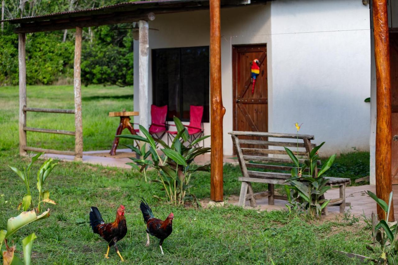 Oso De Osa Hotel Sierpe Luaran gambar