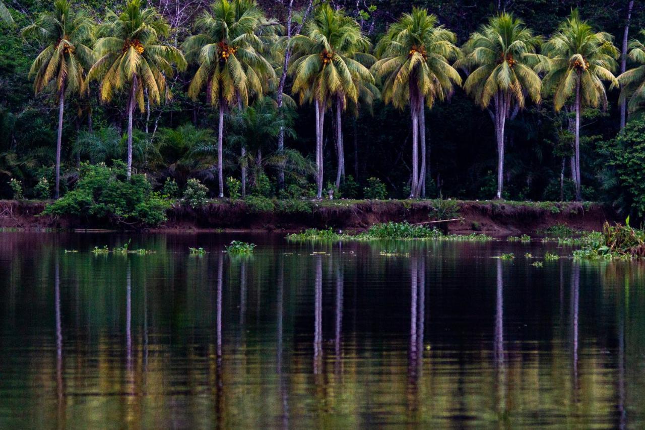 Oso De Osa Hotel Sierpe Luaran gambar